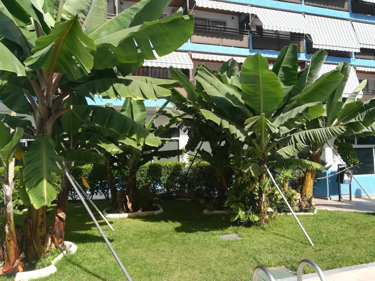 Acogedor Estudio Con Piscina Y Cerca De La Playa Πουέρτο Ντε Λα Κρουζ Εξωτερικό φωτογραφία